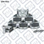 ПОРШЕНЬ ДВИГАТЕЛЯ К-Т (STD) Q299-0218