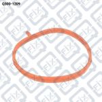 ПРОКЛАДКА ДРОССЕЛЬНОЙ ЗАСЛОНКИ (КОЛЬЦО) Q300-1209